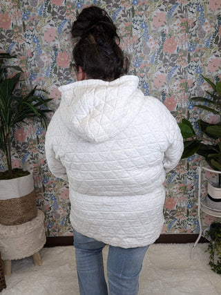 3- Hooded Tops PHC- Quilted Asymmetrical Zip Hoodie in Oatmeal plus size clothing